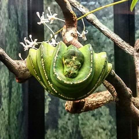Nature Experiences